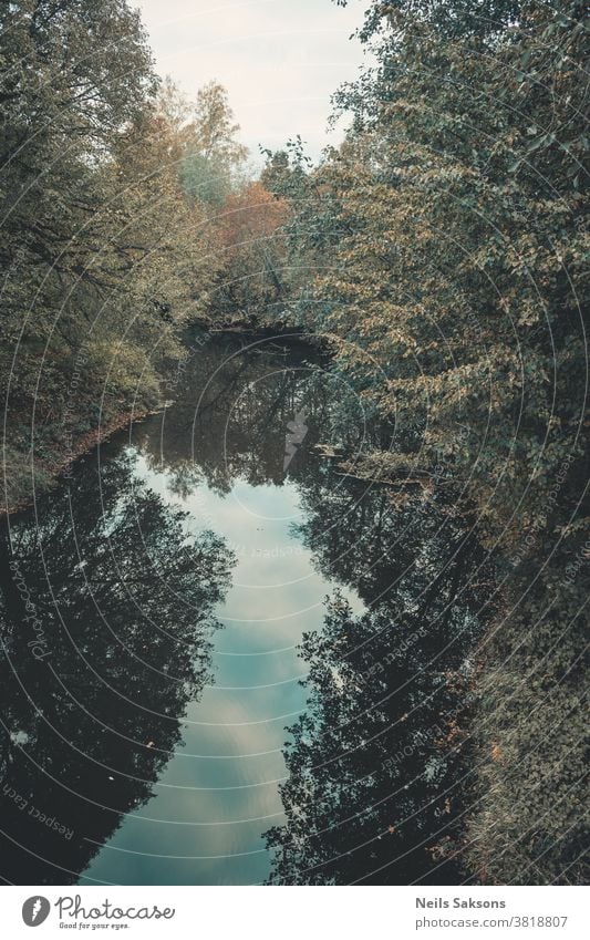 kleiner Fluss im Wald im Oktober von der Brücke aus Niederlassungen braun Sträucher Farbe Land Flora Gras grün Blätter Natur Röhricht Pflanze Lettland platschen