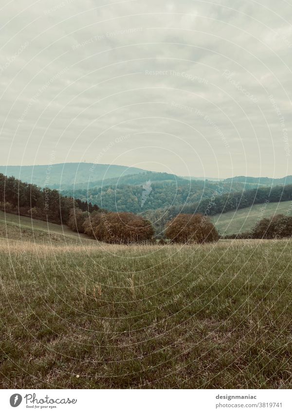 Odenwald Hügel Landschaft leer Wald Waldlichtung grün Gras Grasland bewölkt Wolkenhimmel Horizont berglandschaft Leere stille Lichtung Hessen Deutschland Natur