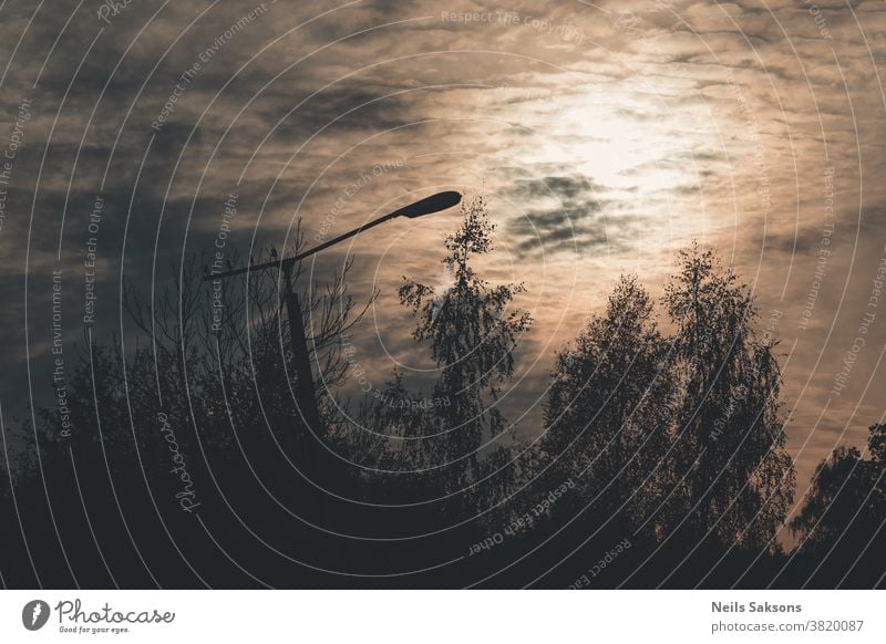 alte Laterne zwischen Bäumen auf wolkig dunklem Sonnenuntergangshintergrund altehrwürdig Licht bringen schräg gebeugt Baum Ast Blätter Silhouette Stille Wolken