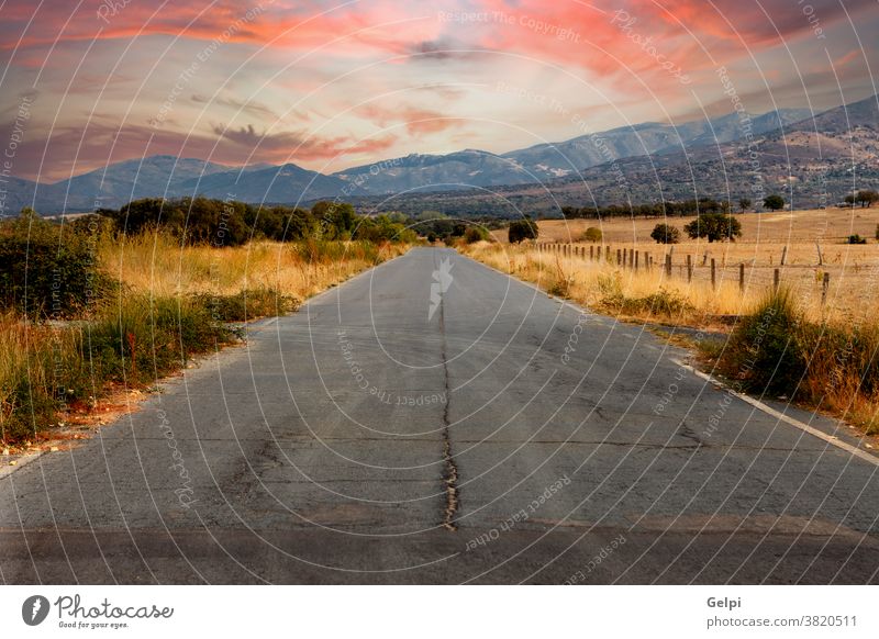 Einsame Straße mit einem erstaunlichen Himmel Landschaft reisen Natur sonnengebräunt rot malerisch im Freien Baum Route Transport Asphalt Ausflugsziel Herbst