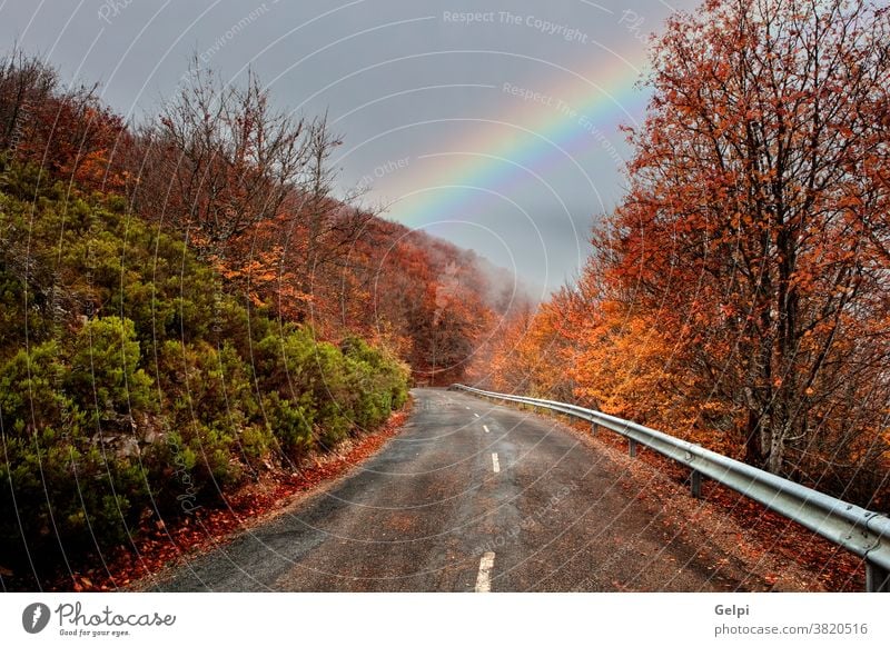 Einsame Straße mit einem erstaunlichen Himmel Landschaft reisen rot orange Regenbogen Natur malerisch im Freien Baum Route wolkig Transport Asphalt Ausflugsziel