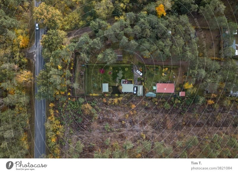 Eine Gartenanlage von oben in Brandenburg Wald Außenaufnahme Menschenleer Natur Farbfoto Baum Herbst grün Umwelt Tag Landschaft