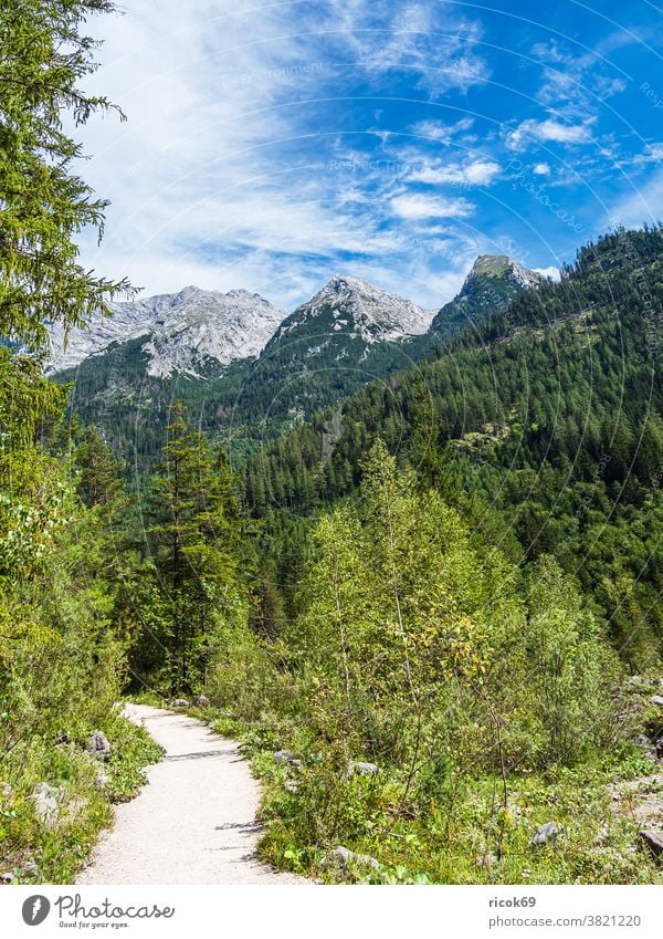 Wanderweg im Klausbachtal im Berchtesgadener Land Bayern Alpen Gebirge Berg Baum Wald Landschaft Natur Weg Pfad Wolken Himmel grün blau Urlaub Reise Tourismus