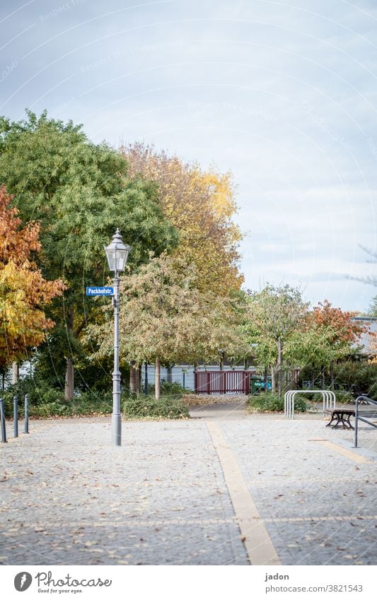 knapp daneben | natur trifft stadt. Laterne Platz Außenaufnahme Menschenleer Tag Straßenbeleuchtung Strassenschild Fahrradständer Bank Pflastersteine Linien