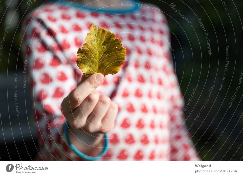 Herbstlaub in Hand von Kind Kindheit Hoffnung bunt gelb rot blau Laub Blatt optimistisch Trauer traurig Mädchen Mensch Kindergarten Wald Zufriedenheit