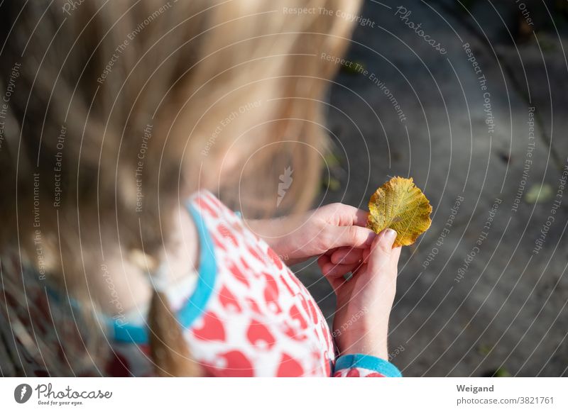 Kind sammelt im Herbst Laub Kindheit herbstlich Laubbaum laub sammeln gelb golden Traurigkeit trauriges mädchen Mädchen hoffnungsvoll Hoffnung Hand