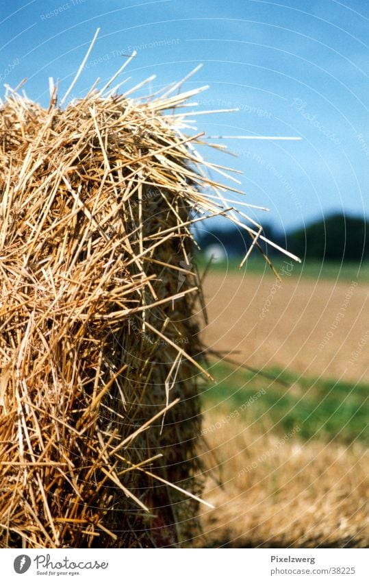 Heuballen Stroh Landwirtschaft Wiese Feld Westerwald Landluft