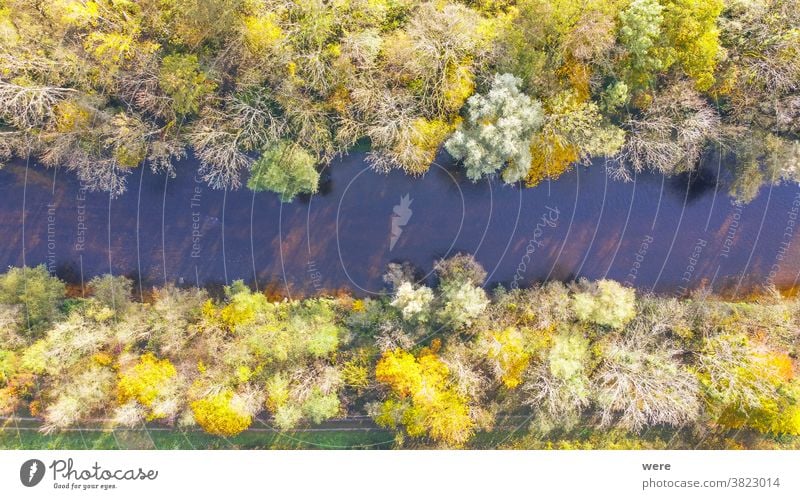 Blick von oben auf das herbstlich gefärbte Laub der Wertachauen bei Hiltenfingen Bereich Flug Herbst Panorama Ansicht Luftaufnahme schön Vogelschau blau