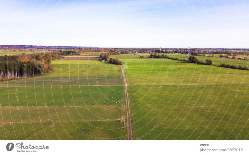 Blick von oben auf das herbstlich gefärbte Laub der Wertachauen bei Hiltenfingen Bereich Flug Herbst Panorama Ansicht Luftaufnahme schön Vogelschau blau