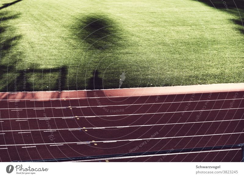 Schatten am Sportplatz Schattenspiel Laufbahn Rasen Rasenfläche Sportstätte Lichtspiel Sonnenlicht Silhouette