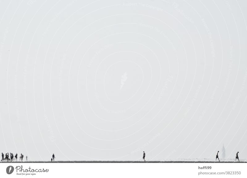 Menschen bei Ebbe im Watt Menschengruppe Wattwandern Wattenmeer Menschenmenge Nordsee Bewegung trocken außergewöhnlich hell gehen Nordseeküste Sand Meer Küste
