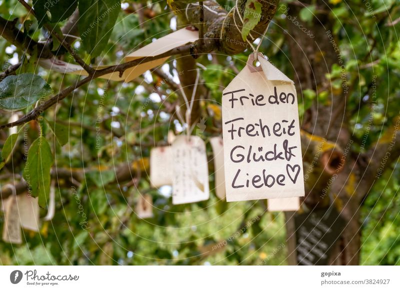 Etikett mit dem Wunsch nach Frieden, Freiheit, Glück und Liebe hängt in einem Baum Hoffnung Gefühle Emotion Erwartung Freude Sehnsucht Stimmung Klischee