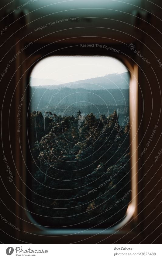 Blick auf den Wald aus dem Zugfenster reisen Verkehr Eisenbahn Station Schiene Bahn Fahrzeug Perspektive Ort Geschwindigkeit Reiseroute schnell Umweltfreundlich