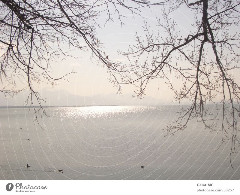 Chiemsee Herbst Reflexion & Spiegelung Panorama (Aussicht) Bayern Landschaft groß