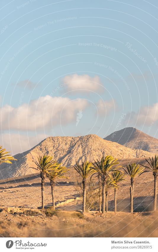 Strand Los Molinos auf Fuerteventura, Kanarische Inseln im Sommer 2020 atlantisch schön blau atemberaubend Kanarienvogel charmant Küste Küstenstreifen