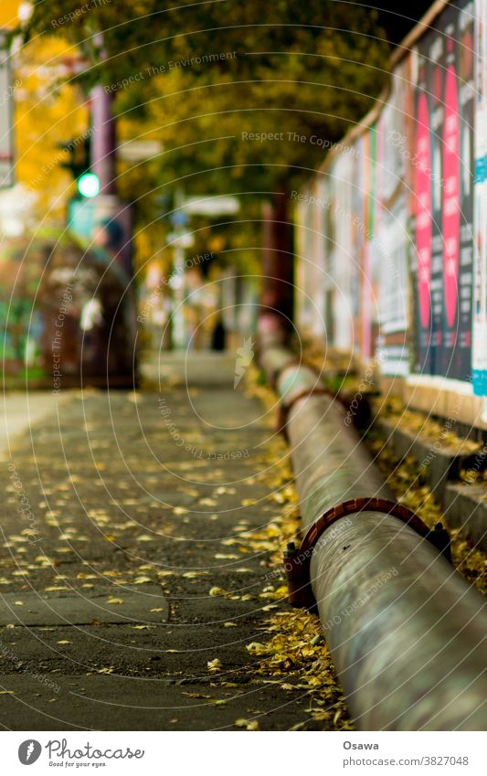 Rohr am Rande des Bürgersteigs Röhre Leitung Gehweg Trottoir Straße Wasserleitung Bäume Herbstlaub Laun Grün Gelb Plakate Werbung Wege & Pfade Verkehrswege