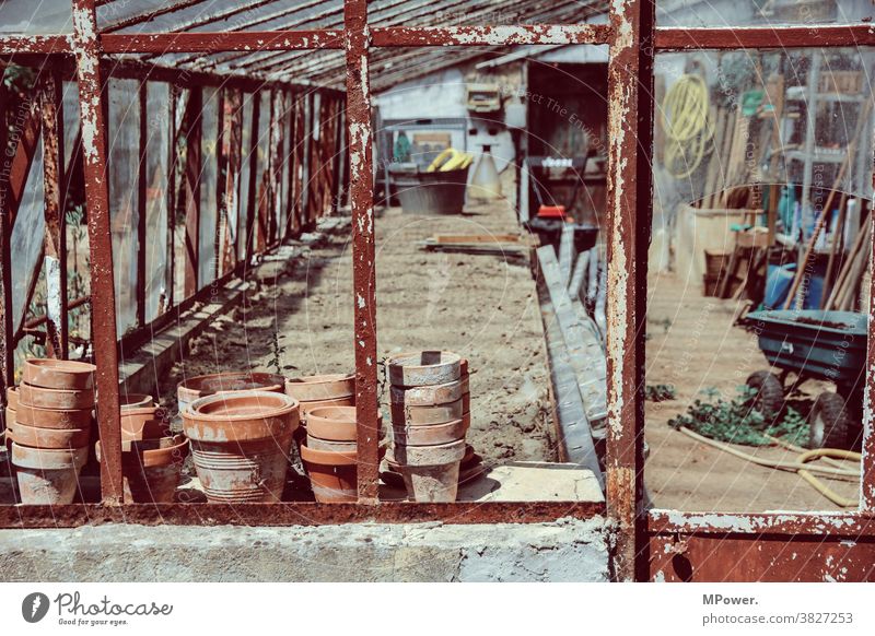 kein grüner daumen in dieser gärtnerei Gärtnerei Gewächsthaus alte hütte Gartenarbeit Außenaufnahme Menschenleer Altbau rostig Topfpflanze