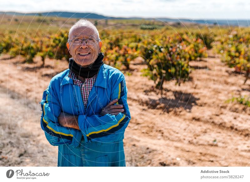 Lächelnder Senior-Winzer im Weinberg stehend Brille Gartenbau Traube Ernte Sommer Landschaft Porträt Mann blau Uniform Haufen heiter herzlich Grübchen