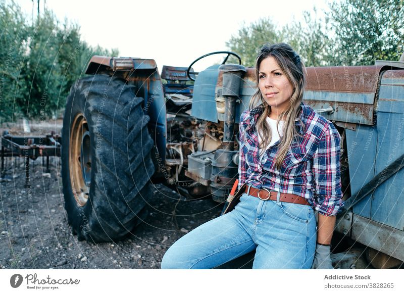 Bäuerin mit Traktor auf Olivenplantage Landwirt oliv Schonung Ernte Maschine Frau Ackerbau ländlich Pflanze Bauernhof zufrieden Erwachsener Kleinunternehmen