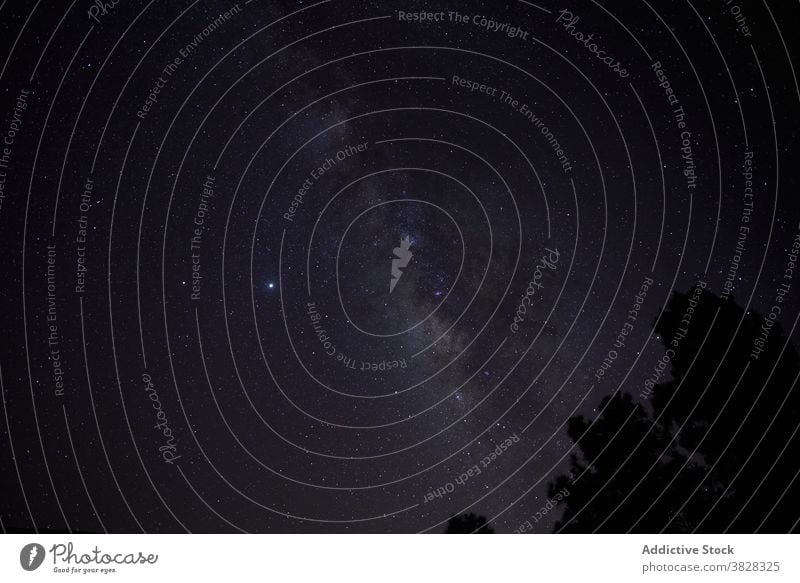 Dunkler Himmel mit Sternen und Milchstraße Milchstrasse dunkel Nacht Galaxie Hintergrund Natur obskur Atmosphäre Schmuckkörbchen Astrologie Astronomie wild