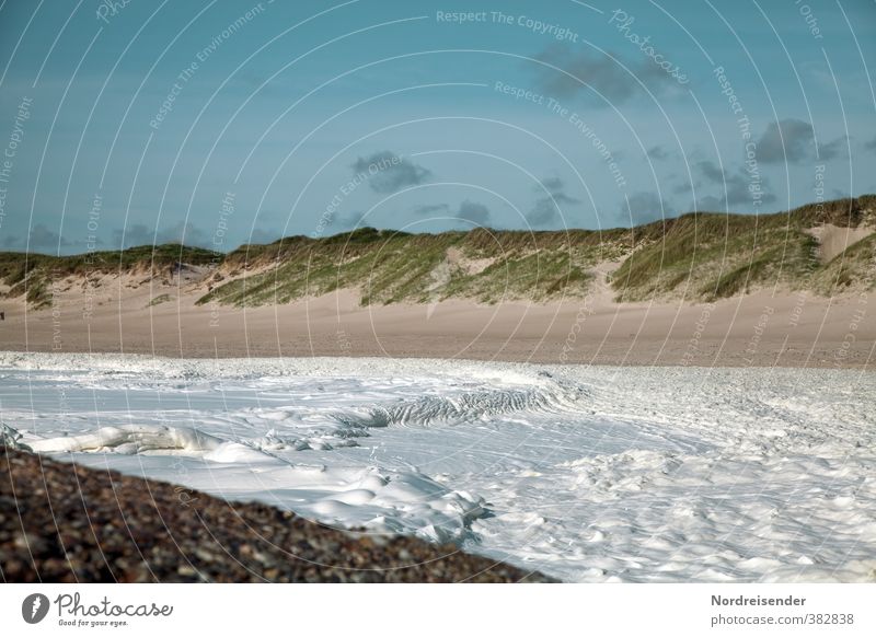 Der süße Brei.... Ferien & Urlaub & Reisen Ferne Sommer Strand Meer Wellen Landschaft Himmel Schönes Wetter Gras Küste Nordsee wild Fernweh Einsamkeit Bewegung