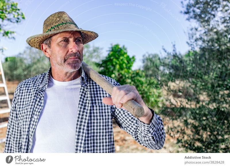 Seriöser reifer Landwirt in grüner Vegetation in Plantage Mann ernst Agronomie selbstbewusst Schonung Ackerbau Arbeiter Ernte Pflanze Job männlich Landschaft