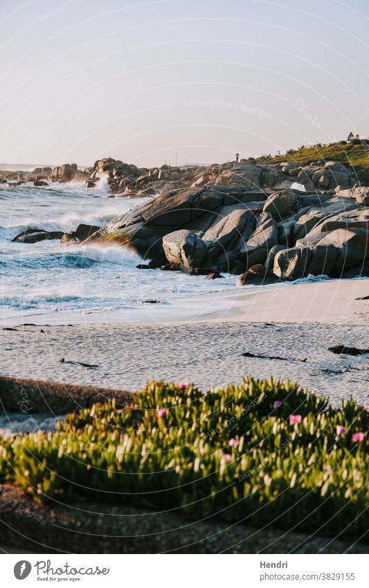 Wellen prallen bei Sonnenuntergang gegen Felsen und Strand in Kapstadt Südafrika winken zusammenbrechend Felsbrocken Urlaub reisend Badeurlaub Meer MEER Natur