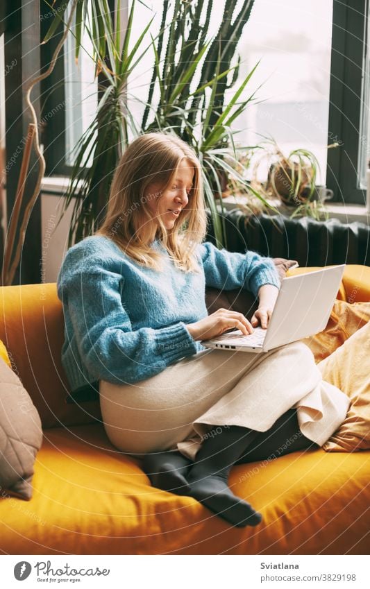 Süße Blondine, die auf der Couch sitzt und am Computer arbeitet. Das Mädchen checkt E-Mails, kommuniziert mit Freunden und Kollegen. Online arbeiten, freiberuflich tätig, soziale Distanz