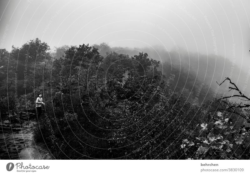 in wolken gehüllt beeindruckend dunkel dramatisch Ferien & Urlaub & Reisen Wald Schwarzweißfoto wandern Natur Außenaufnahme Umwelt Wolken Himmel Freiheit Ferne