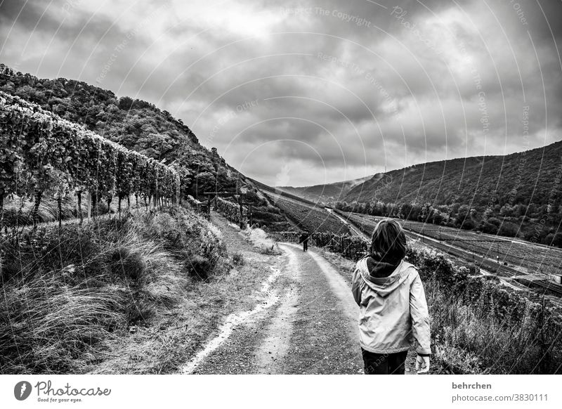 wandertag Weinberg herbstlich Jahreszeiten Herbst Regen Sohn Kindheit Wanderer Hunsrück Moseltal Mosel (Weinbaugebiet) Flussufer Rheinland-Pfalz Ruhe Idylle