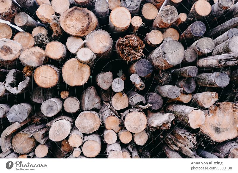 Holzstapel Baumstamm Baumstämme Brennholz Forstwirtschaft Wald Abholzung Umwelt Natur Stapel Nutzholz Außenaufnahme Brennstoff Menschenleer Farbfoto roh rund