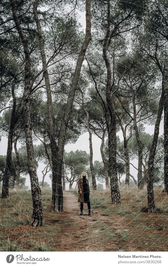 Junge kaukasische Frau, die im Wald vor der Kamera posiert. Mensch blond Nebel Winter Baum Natur Außenaufnahme Windstille Landschaft Umwelt kalt natürlich