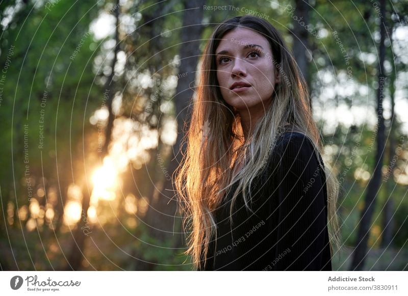 Junge Frau stehend im Herbst Wald Wälder Natur Kleid lange Haare Sonnenlicht Saison Waldgebiet kalt Wiese sonnig fallen jung Umwelt reisen Wanderung Abenteuer