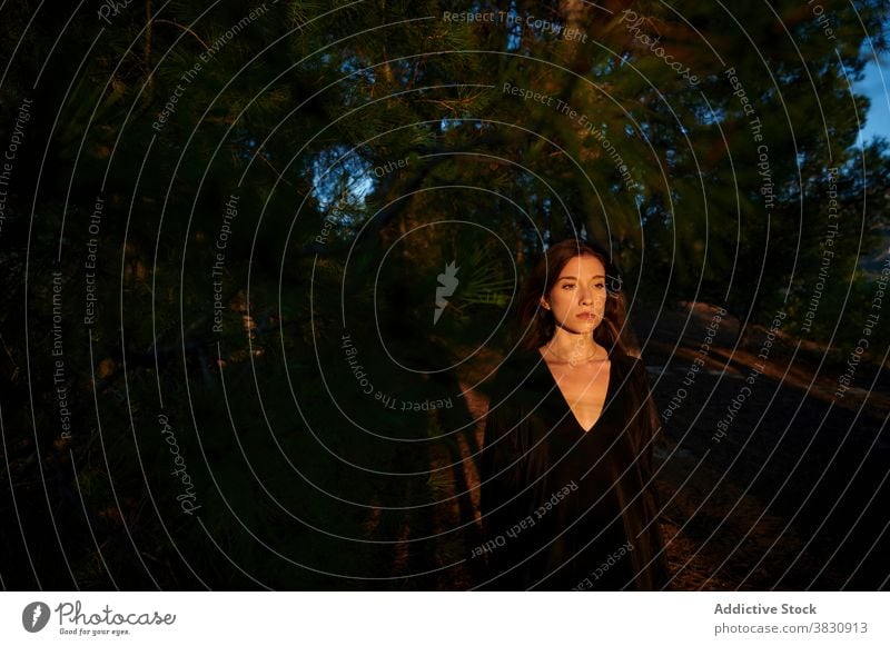 Junge Frau stehend im Herbst Wald Wälder Natur Kleid lange Haare Sonnenlicht Saison Waldgebiet kalt Wiese sonnig fallen jung Umwelt reisen Wanderung Abenteuer