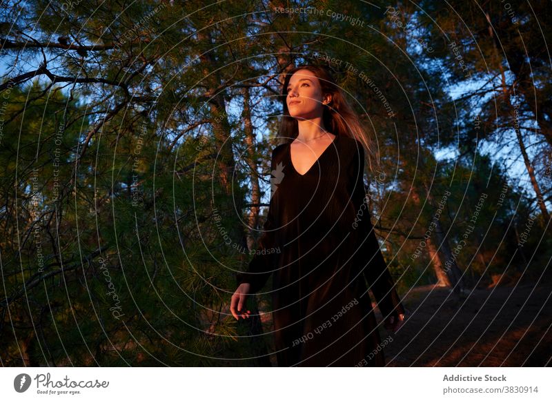 Junge Frau stehend im Herbst Wald Wälder Natur Kleid lange Haare Sonnenlicht Saison Waldgebiet kalt Wiese sonnig fallen jung Umwelt reisen Wanderung Abenteuer