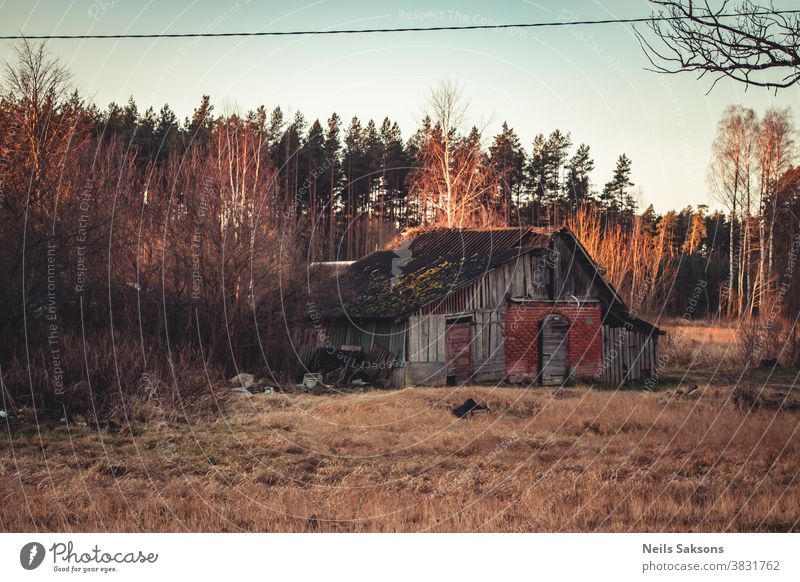 ländliche Holzhütte alte verlassene und Kiefernwälder Waldlandschaft gealtert antik Architektur Herbst Hintergrund Scheune gebrochen Gebäude Cottage Land