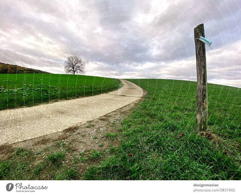 Wo geht die Reise hin? Wege & Pfade Maske Baum Pfahl Fahne Wolken Hügel Himmel Landschaft grün grau Wegrand Horizont Ruhe Sturm bewölkt Gras Wiese Außenaufnahme