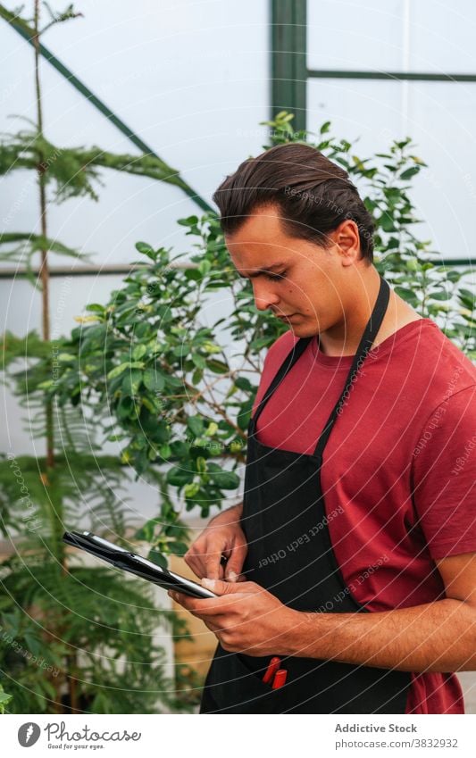 Junger Mann mit Tablette im Gewächshaus benutzend Pflanze Granatapfel Konzentration Fokus Browsen Gerät männlich Garten braune Haare Punica ernst Arbeit prüfen