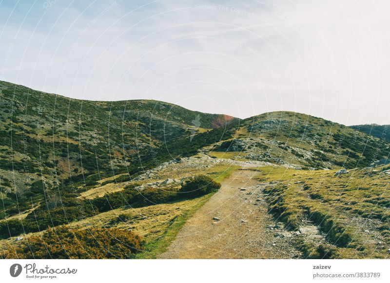 Ein Feldweg mit einer Landschaft aus einigen mit grünen Sträuchern bedeckten Hügeln Weg Fußweg eng Vegetation Gras Grasland Gelblich Halterungen Berge