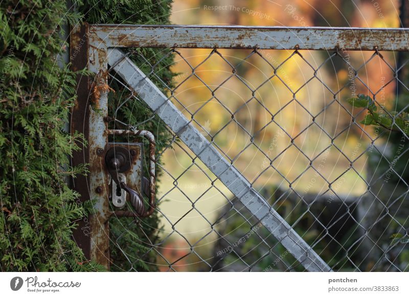 Ein rostiger gartenzaun mit Hecke vor einem Garten. Absperrung, Besitz Gartenzaun hecke natur besitz grundbesitz Herbst schlüssel abgesperrt schloss