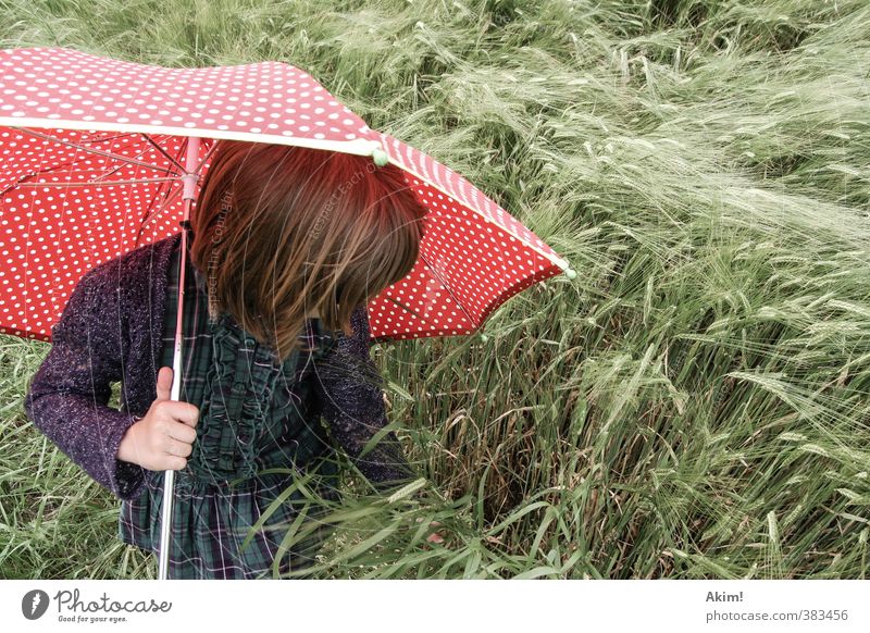 Der Fänger im Roggen IV Mädchen Neugier Spielen feminin Kind 1 Mensch 3-8 Jahre 8-13 Jahre sommerlich Sommer Feld Rock Duft trendy Kornfeld Sonnenschirm