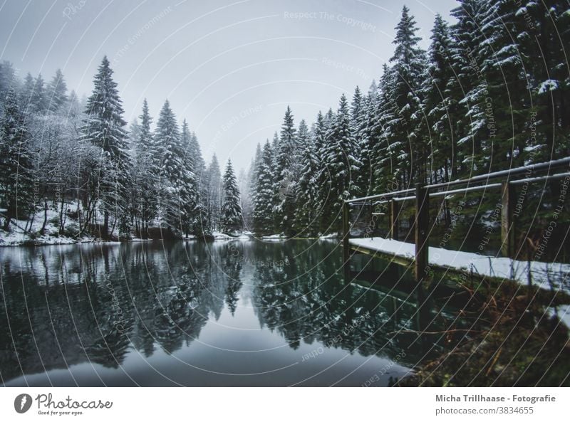 Waldsee im Winter Pfanntalsteich Oberhof Thüringen Thüringer Wald See Wasser Schnee Steg Bäume Geländer Spiegelungen Reflexion & Spiegelung Natur Landschaft