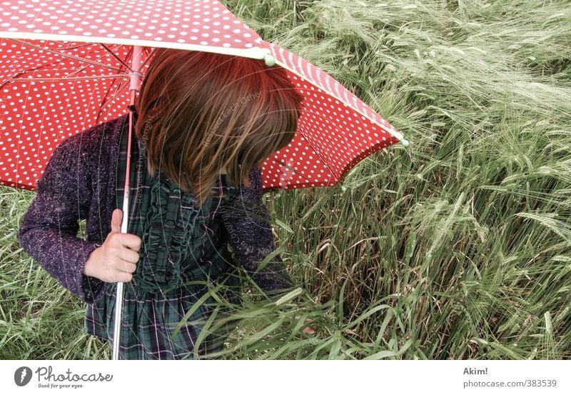 Der Fänger im Roggen Spielen feminin Mädchen Kindheit 1 Mensch 3-8 Jahre 8-13 Jahre Sommer Feld Rock entdecken streichen Duft trendy Kornfeld Sonnenschirm