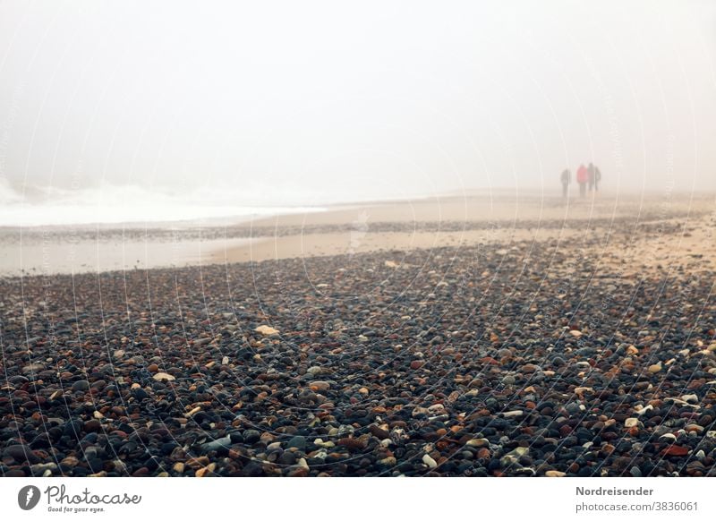 Strandspaziergang im Nebel an der Ostsee Rückansicht Tag Textfreiraum unten Textfreiraum oben Außenaufnahme Farbfoto abhärten Erkältung Fitness Nordsee Frühling