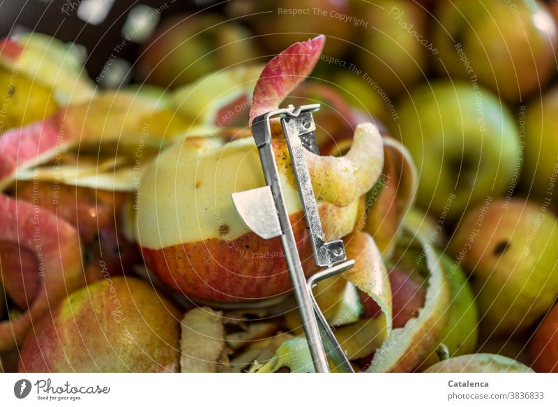 Ein halb geschälter Apfel, Pendelschäler und noch mehr Äpfel Obst Apfelschale schälen Schäler viele Menge Verarbeitung Apfelmus lecker Rot Grün Metall