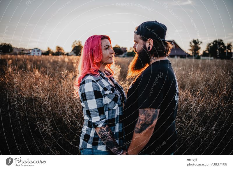 junges Paar mit Tätowierungen und pinken Haaren jugendlich paar liebe verliebt sonnenuntergang Draussen feld pinke haare Tattoo trendy Hipster Mann Frau