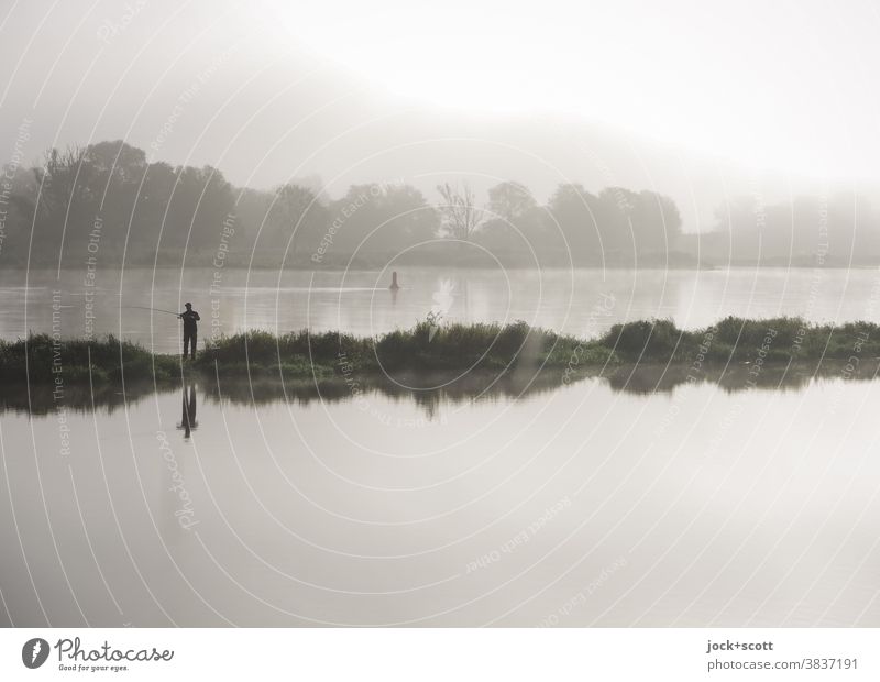 Der frühe Angler fängt den Fisch Angeln Landschaft Himmel Nebel Sommer Flussufer Oder Brandenburg Freiheit Idylle Erholung Inspiration Grenzgebiet schemenhaft