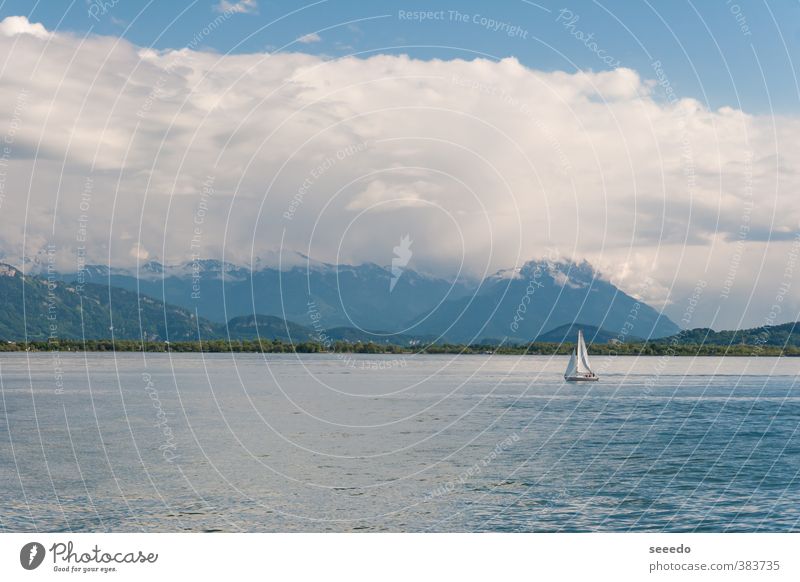 Segelboot auf dem Bodensee (Bodensee) Tourismus Ferne Freiheit Sommer Sommerurlaub Meer Wellen Landschaft Wasser Himmel Wolken Frühling Schönes Wetter Alpen