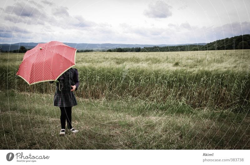 Der Fänger im Roggen II feminin Kind Mädchen 1 Mensch 3-8 Jahre Kindheit 8-13 Jahre Natur Feld Rock Schutz Regenschirm Weizenfeld Spaziergang Landschaft Ferne