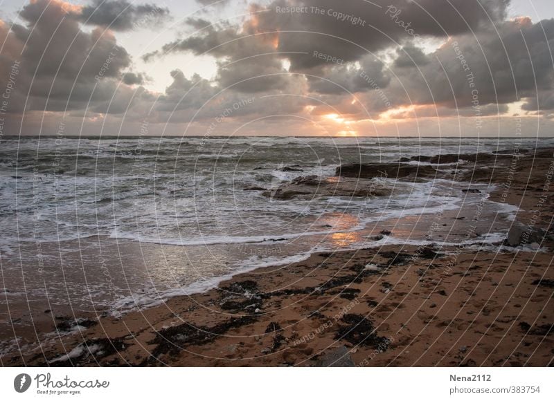 Untergang Umwelt Natur Landschaft Urelemente Erde Luft Wasser Himmel Wolken Gewitterwolken Nachthimmel Horizont Klima Küste Nordsee Ostsee Meer Sehnsucht